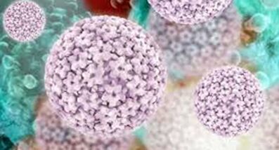 Ιός θηλώματος